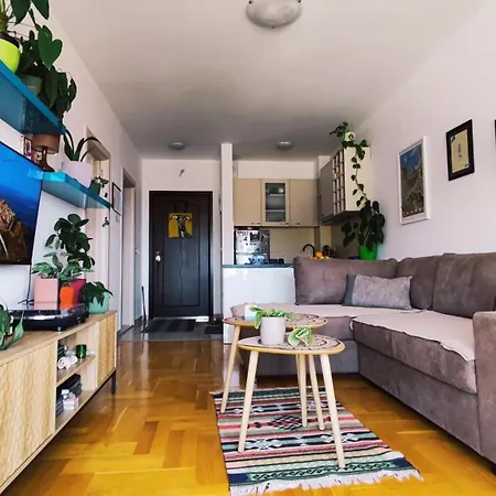 Sila - Cozy Flat With Sea View, Free Parking, Pet Friendly *