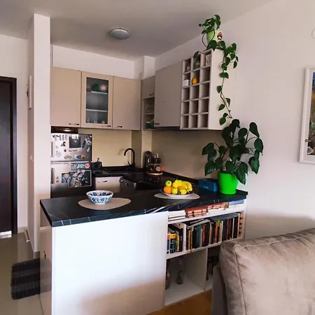 Lägenhet Sila - Cozy Flat With Sea View, Free Parking, Pet Friendly Budva