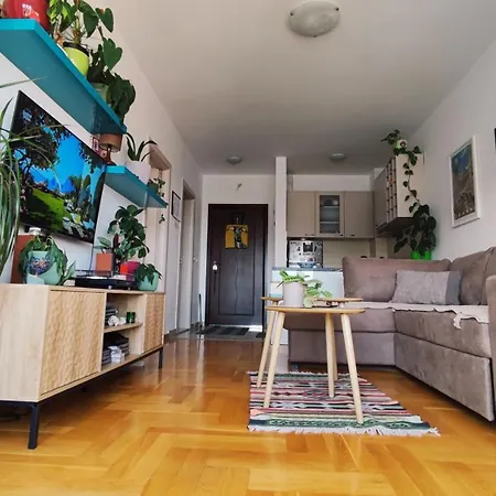 Sila - Cozy Flat With Sea View, Free Parking, Pet Friendly